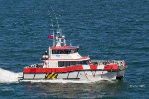 Image of MPI Napoleon